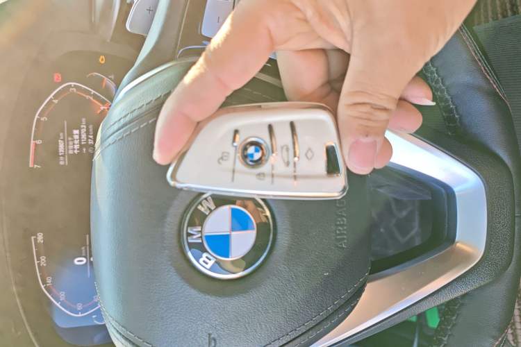 Used BMW 5 Series 2020 530Li Leading Edition Luxury Package