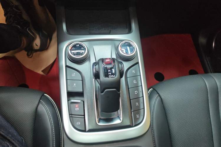 Used Tank 300 2024 2.0T Conqueror