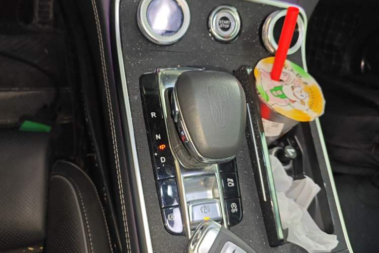 Used Hongqi H9 2020 2.0T Smart Connect Flagship Edition
