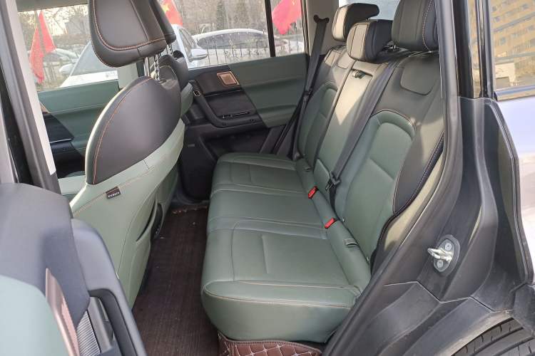 Used  03 2024 501km Two-Wheel Drive Long-Range Version
