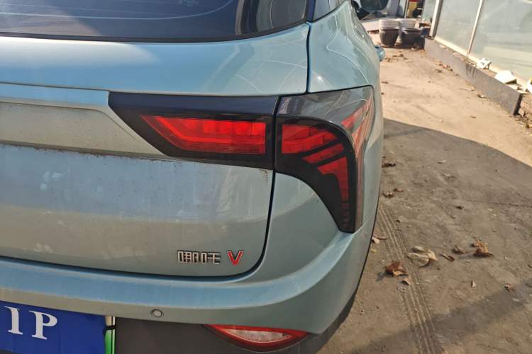 Used NETA V 2021 Long-Range Entertainment Edition Upgrade Model
