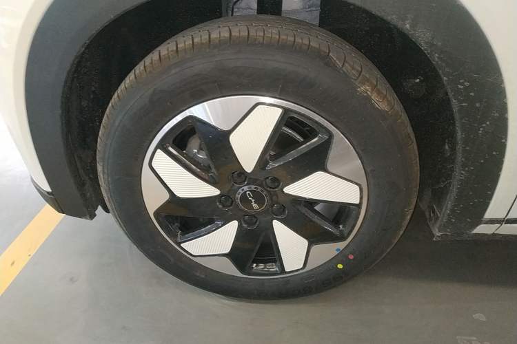 Used BYD Dolphin 2025 420km Free Edition