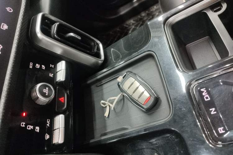 Used Haval DARGO 2021 2.0T DCT 4x4 Chinese Rural Dog Edition
