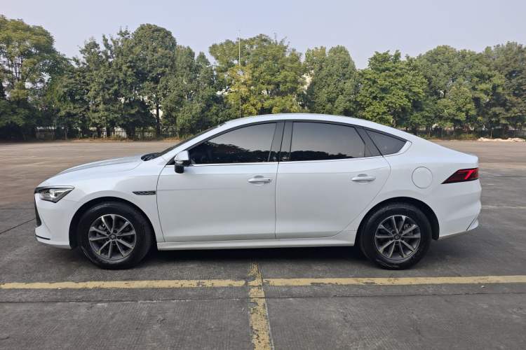 Used BYD Qin PLUS 2024 HONOR Edition DM-i 55KM Leading Model
