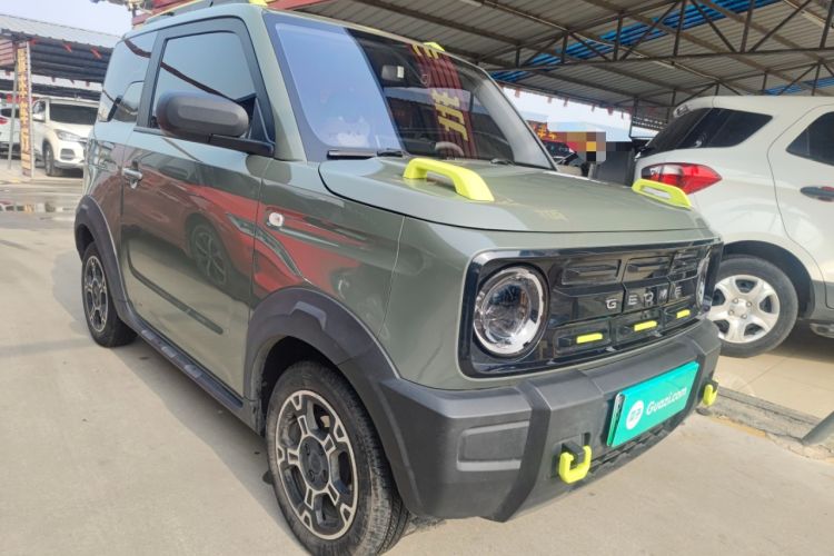 Used  Panda 2024 200km Panda Rider