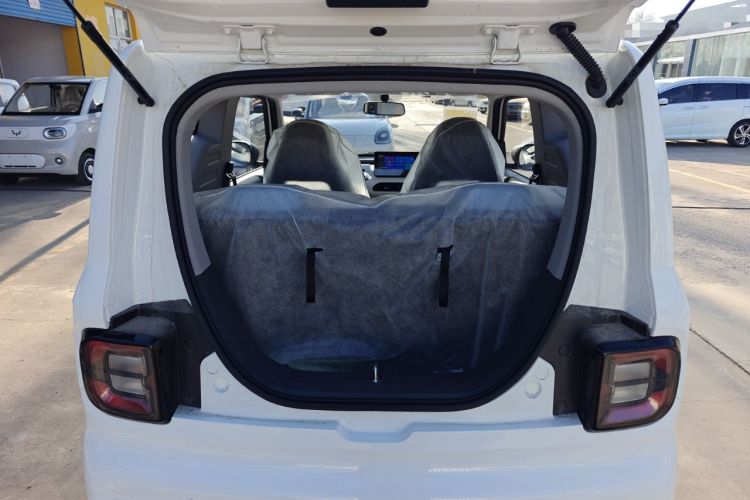 Used  Panda 2024 Panda Mini 200km Endurance Bear