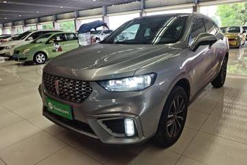 Used Wey VV5 2021 1.5T Two-Wheel Drive Color Pioneer