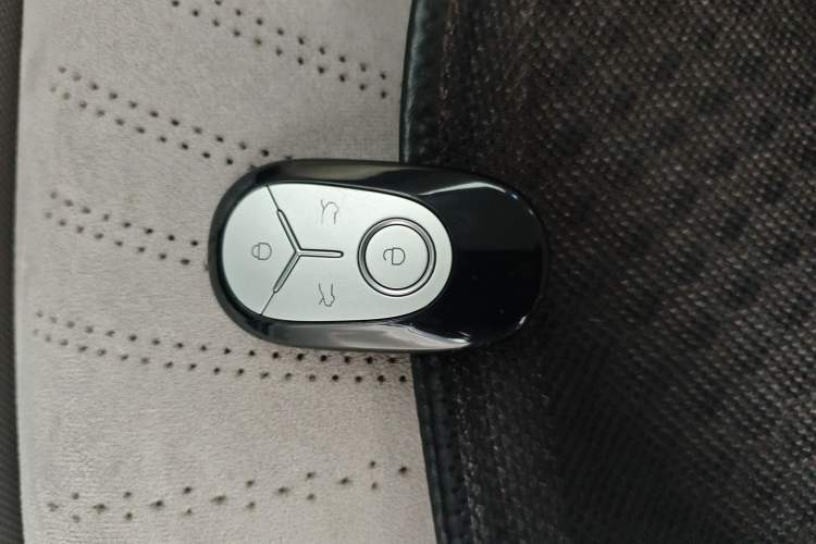 Used  Geome 2025 310km Dream Edition