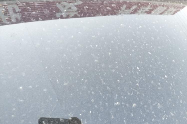 Used Land Rover Range Rover Evoque 2017 2.0T British-Style Prestige Edition
