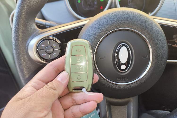 Used ORA Black Cat 2022 301km "Cute Pet" Version – Lithium Iron Phosphate
