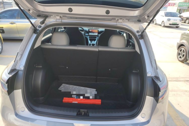 Used  Geome 2025 310km Youth Edition
