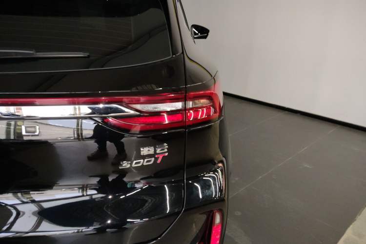 Used  Lingyun 2024 300T Two-Wheel Drive Starlight Edition
