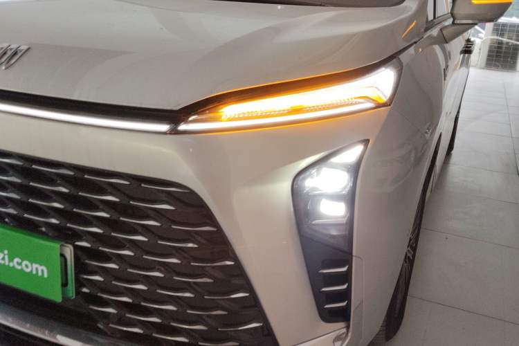 Used Buick GL8 New Energy 2024 Lu Zun Luxury Edition 7-Seater
