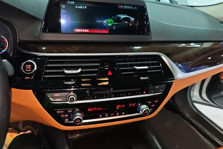 Used BMW 5 Series 2018 528Li Launch Special Edition
