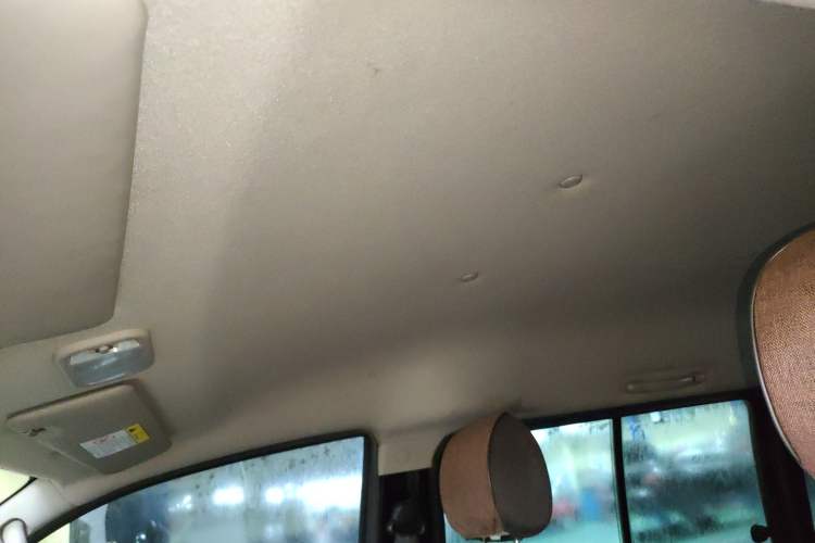 Used FORTHING Lingzhi 2020 M5L 1.6L Utility Model