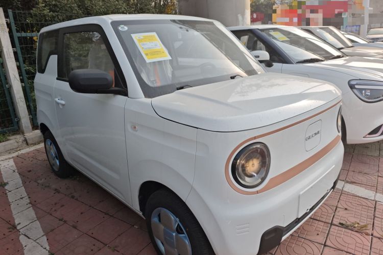 Used  Panda 2024 Panda Mini 200km Endurance Bear
