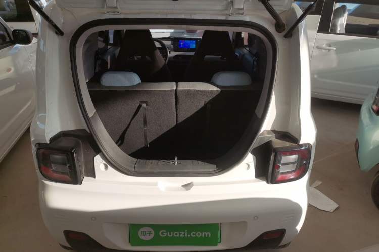 Used  Panda 2024 Panda Mini 200km Endurance Bear
