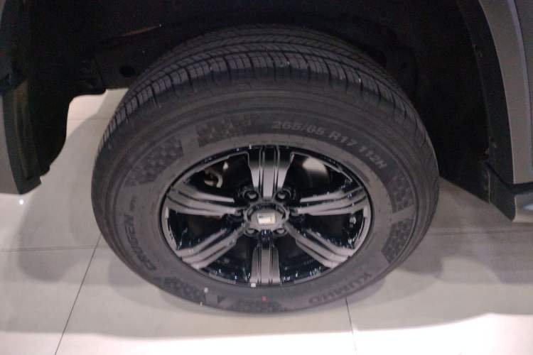 Used Tank 300 2024 2.0T Conqueror
