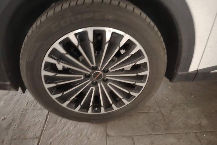 Used  Stellar 2023 400T Two-Wheel Drive Comfort Flyfish Edition