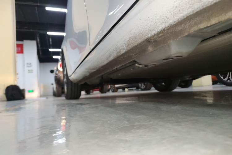 Used ORA White Cat 2020 305 km Luxury Version
