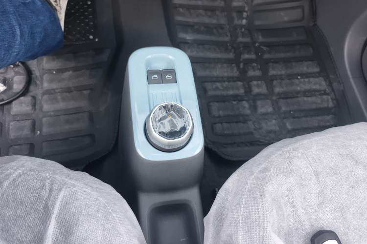 Used  Panda 2024 Panda Mini 200km Endurance Bear
