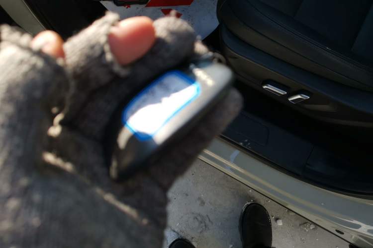 Used Haval Fierce Dragon Max 2025 Hi4 110 Pro