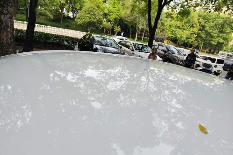 Used Chevrolet Cavalier 2020 320 Manual Enjoyment Edition