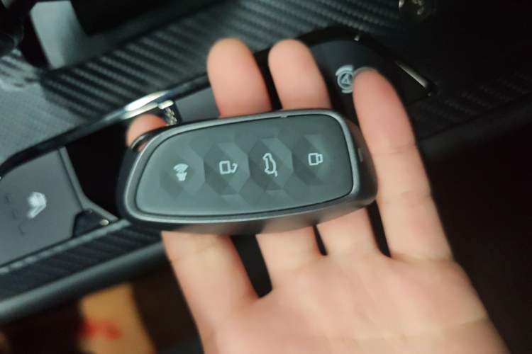 Used Haval H Dog New Energy 2024 Hi4 102km Trend Electric Version Plus