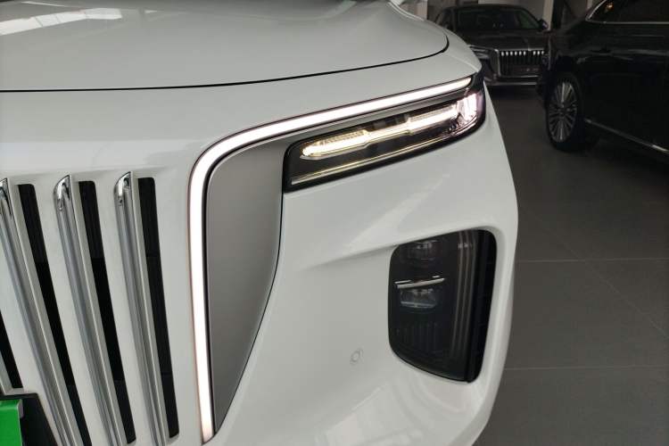 Used Hongqi E-HS9 2022 660 km Range Flagway Edition Six Seats
