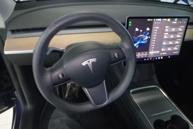 Used Tesla Model Y 2021 Standard Range Rear-Wheel Drive Version
