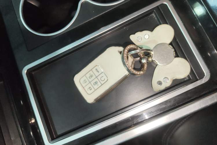 Used Honda Elysion 2022 2.0L eHEV Luxury Edition
