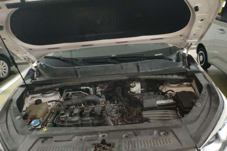 Used Changan CS55 2017 1.5T Automatic Colorful Edition
