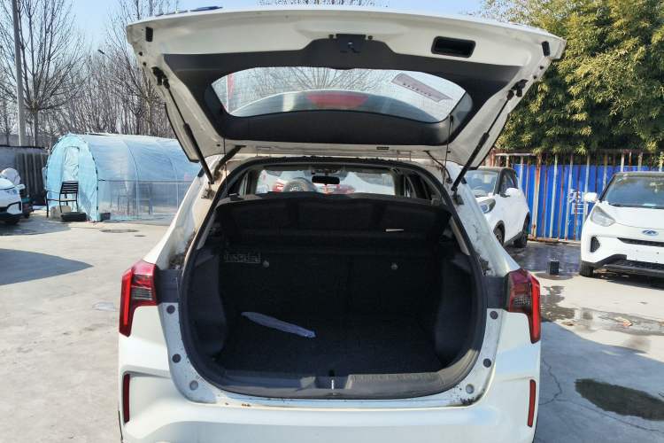 Used Venucia T60EV 2020 AI Enjoyment Model
