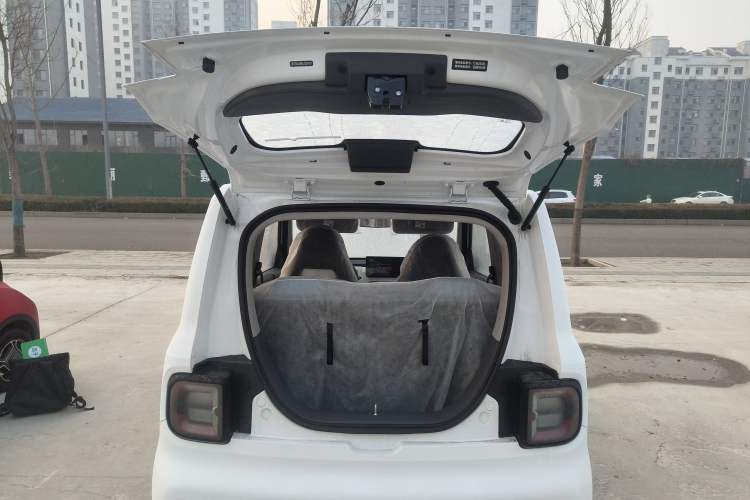 Used  Panda 2024 Panda Mini 200km Endurance Bear
