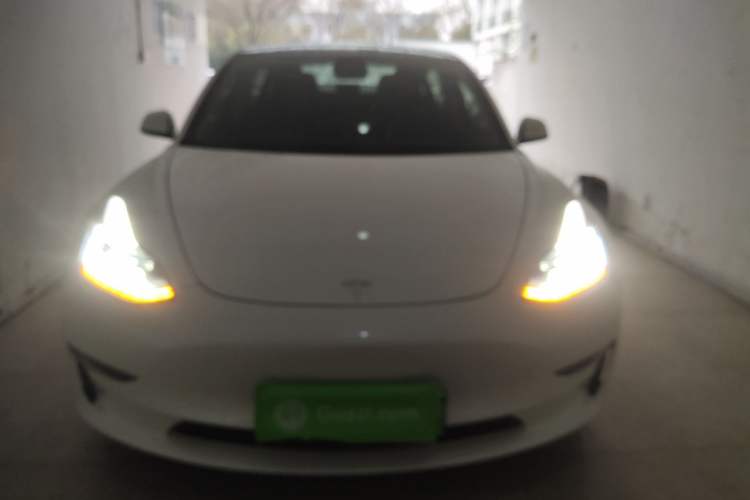 Used Tesla Model 3 (Import) 2019 Long-Range All-Wheel-Drive Version