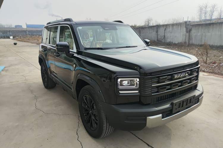 Used Haval Raptor New Energy 