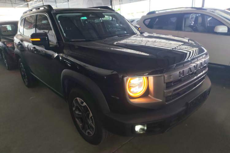 Used Haval DARGO 2024 2.0T DCT Chinese Rural Dog Edition
