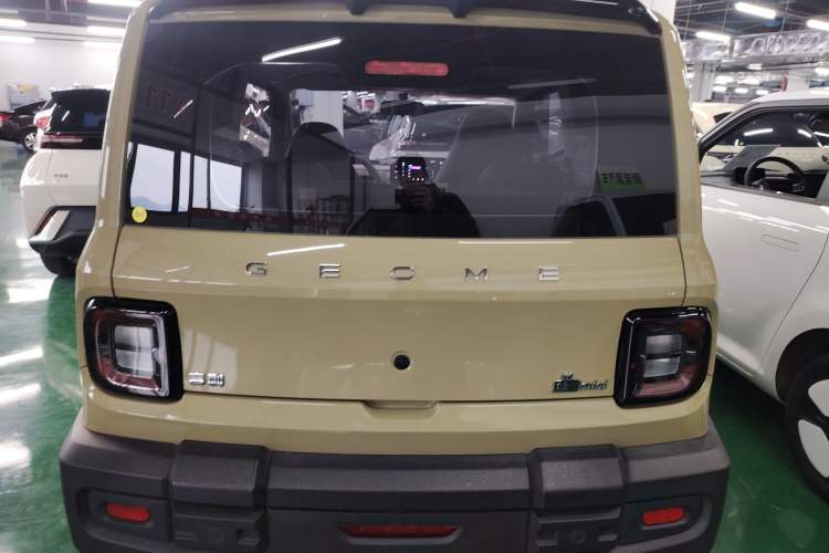 Used  Panda 2024 200km Panda Rider