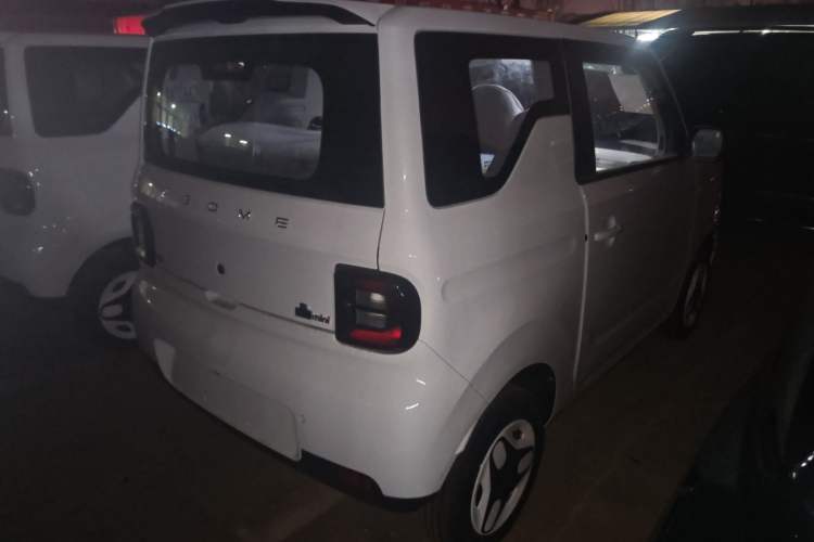 Used  Panda 2025 210 km – Yuanqi Bear
