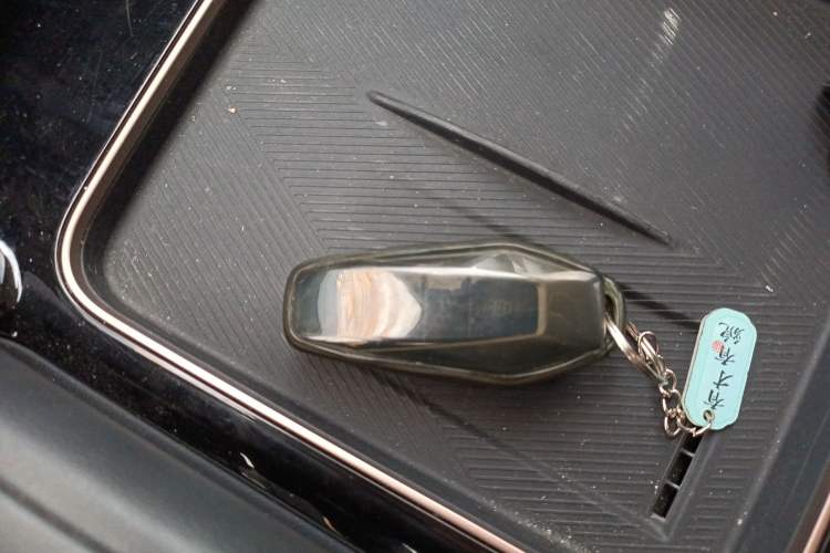 Used  03 2024 501km Two-Wheel Drive Long-Range Version
