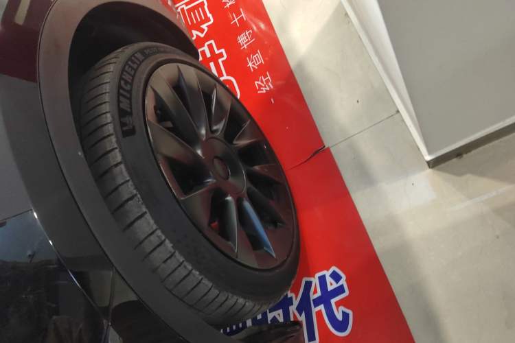 Used Tesla Model Y 2021 Standard Range Rear-Wheel Drive Version
