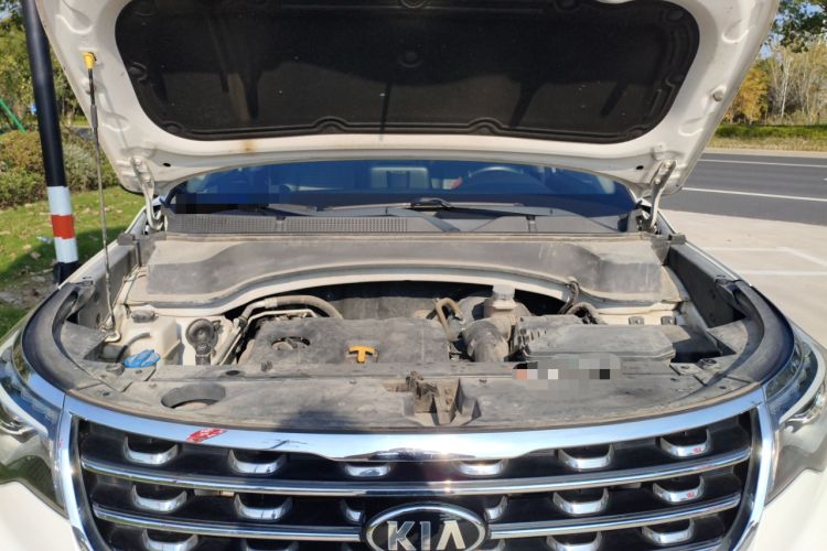 Used Kia Sportage R 2019 2.0L Automatic Smart Luxury Edition
