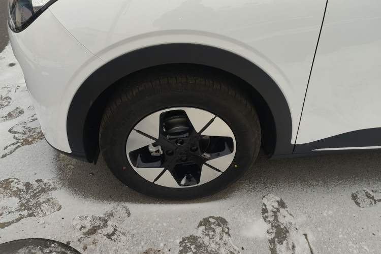 Used  Geome 2025 310km Dream Edition
