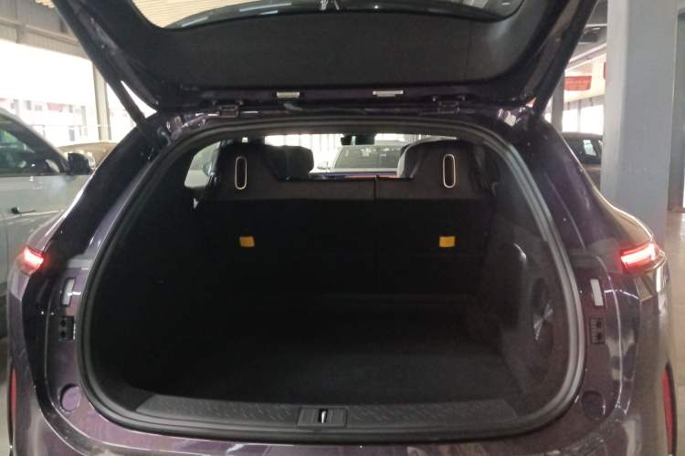 Used  07 2024 Max Pure Electric Edition
