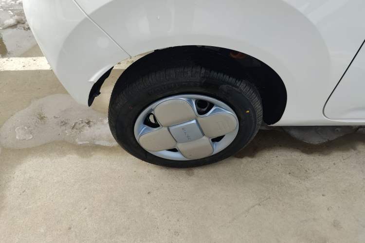 Used  Panda 2024 Panda Mini 200km Endurance Bear
