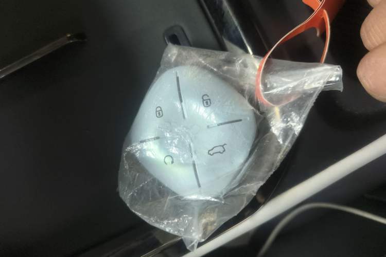 Used  Shanhai L6 2024 1.5TD DHT MAX
