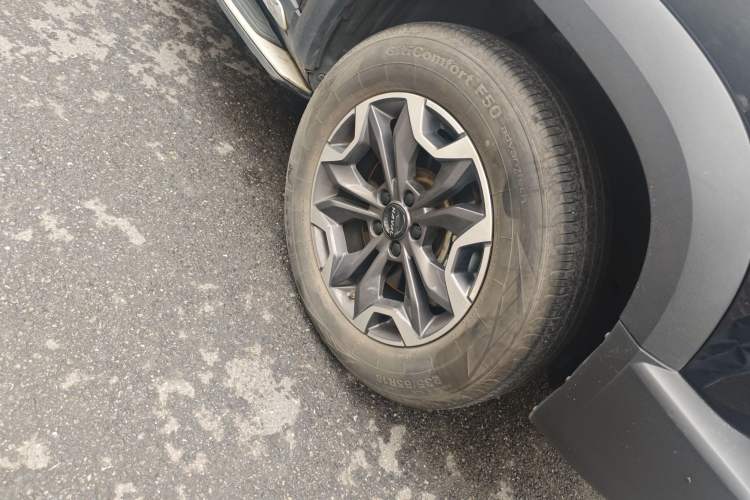 Used Haval DARGO 2021 2.0T DCT 4x4 Chinese Rural Dog Edition
