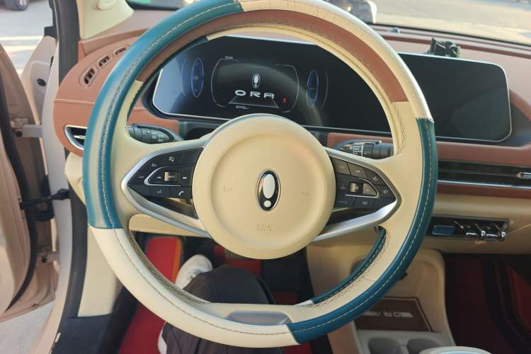 Used ORA Good Cat 2022 400km Standard Range Luxury Version Lithium Iron Phosphate
