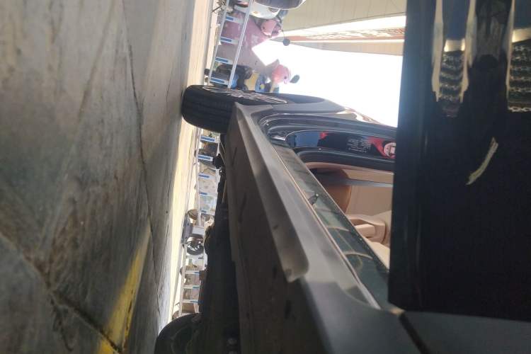 Used  Panda 2024 200km Panda Kart
