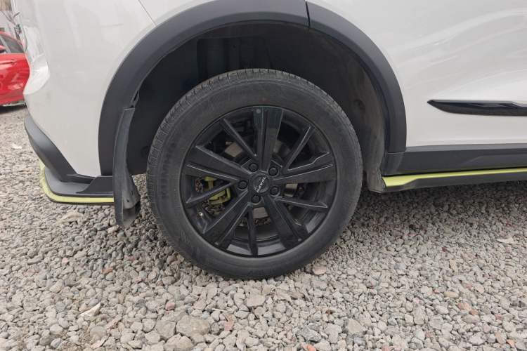 Used Haval LHERY 2021 High-Performance Version 1.5T Golden Rabbit